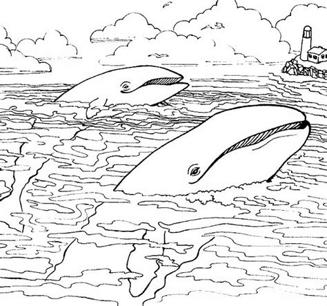 Coloriage Baleines Sur La Surface De Mer Dessin Gratuit à Imprimer
