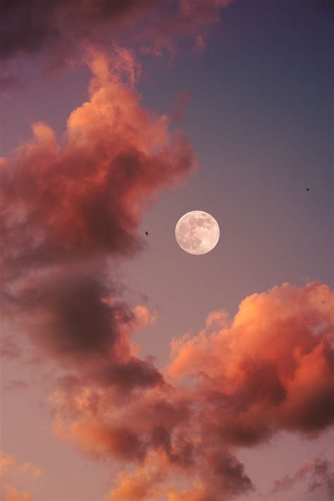 Moon 100 Best Free Moon Night Dark And Full Moon Photos On Unsplash