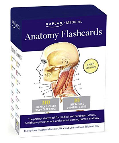Expert Choice For Anatomy And Physiology Flashcards