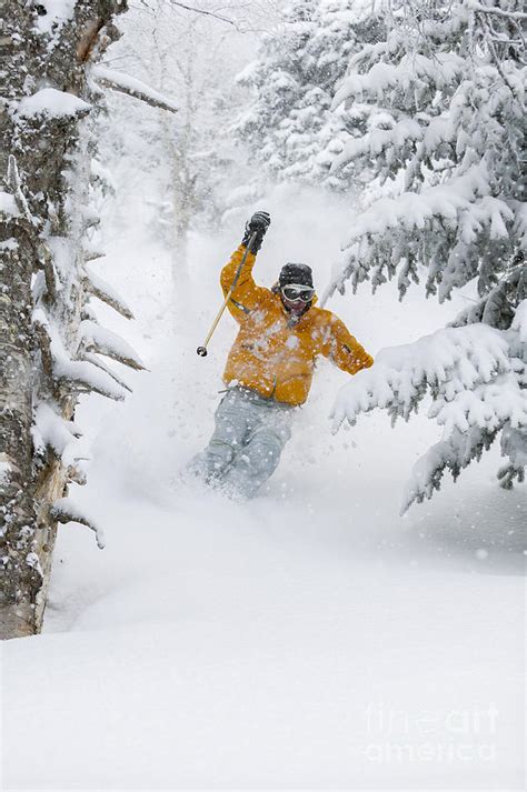 Expert Skier Skiing Deep Powder Snow Photograph By Don Landwehrle