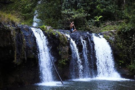 The 10 Best Things To Do In Atherton Tablelands 2021 With Photos