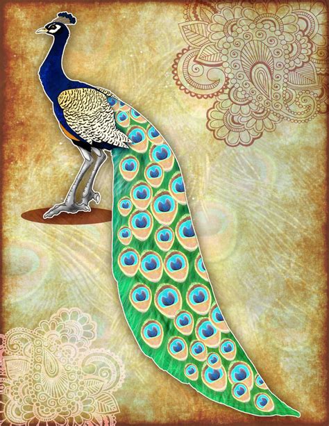 Indian Peacock By Bluenephelim On Deviantart