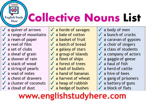 Collective Nouns List A Z English Study Here