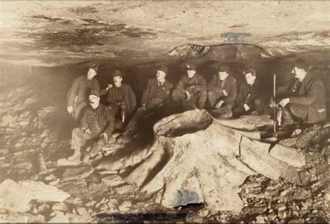 1918 Coal Miners And Tree Stump Encapsulated In A Coal Seam 9GAG