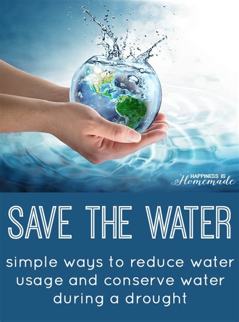 Save Water Save Life Water Facts Infographic Poster Infographic The