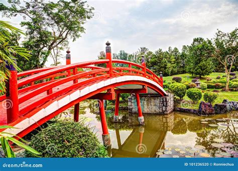 Japanese Garden Bridge In Singapore Stock Photo Image Of Gardens