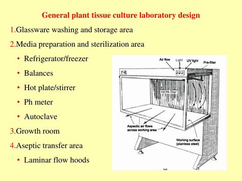 Into this rigorously revised and expanded sixth edition of culture of animal cells, the leading te. PPT - Plant Tissue Culture PowerPoint Presentation, free ...