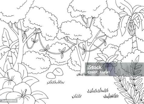 dżungla las deszczowy grafika czarny biały krajobraz szkic ilustracja wektor stockowe grafiki