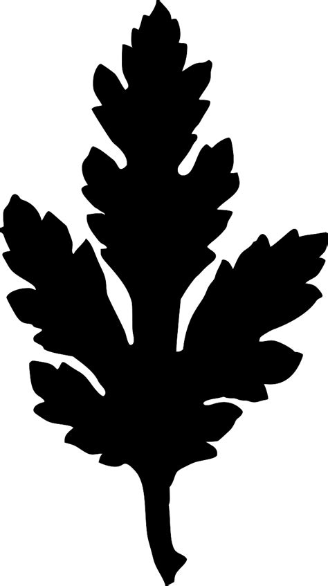 Svg Tree Leaf Branch Free Svg Image Icon Svg Silh