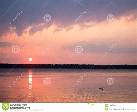The Sun Rises Over A Quiet Forest Lake Stock Photo Image Of Landscape