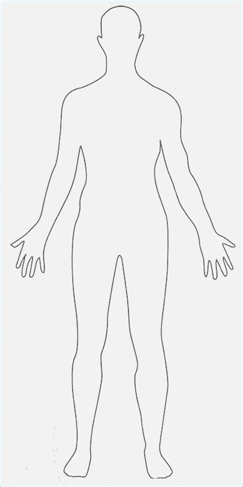 Examples, as well as exercises, are included. Blank Body Drawing at GetDrawings | Free download