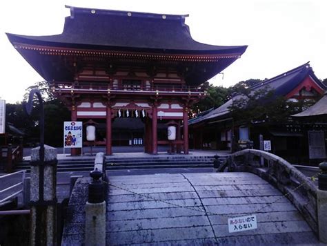 Tsushima Shrine Tripadvisor