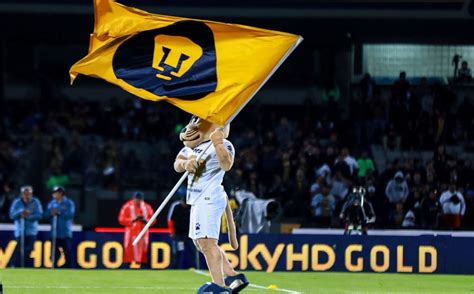 Enjoy the match between pumas unam and atlas taking place at mexico on january 31st, 2021, 2:00 pm. Pumas vs Atlas: horario para ver en vivo partido del ...