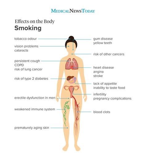 How Does Smoking Affect The Body Riviera Expat