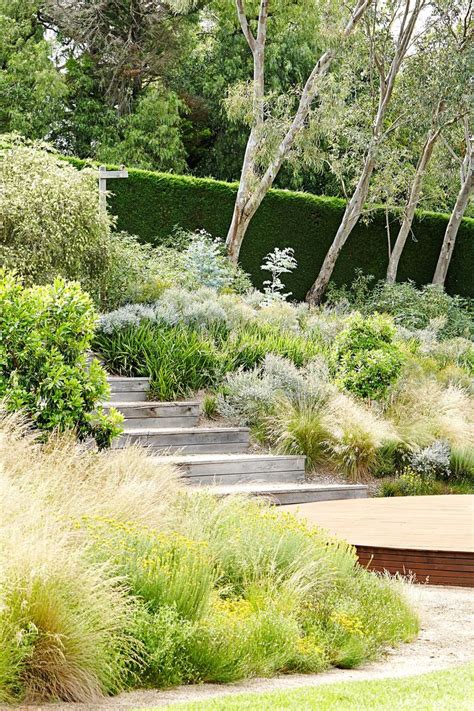 Sustainable design, eucalyptus, billabongs, water conservation, recycling, weird plants, and more. Australian native plants for rock gardens that can Survive ...