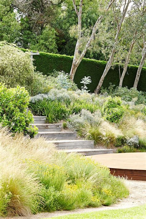 Sustainable design, eucalyptus, billabongs, water conservation, recycling, weird plants, and more. Australian native plants for rock gardens that can Survive ...
