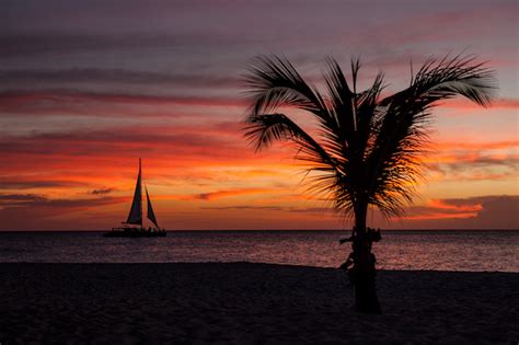 The Top 10 Essential Honeymoon Experiences In Aruba Travelers Joy