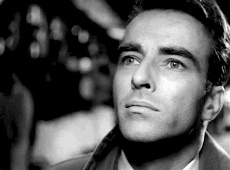 Something Kitten This Way Comes Montgomery Clift American Wives Red