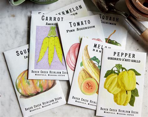 How To Shop For Veggies Our Seed Selection Guide Modern Farmer