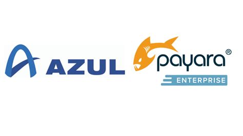 Payara Services And Azul Extend Contract Payara Services Ltd