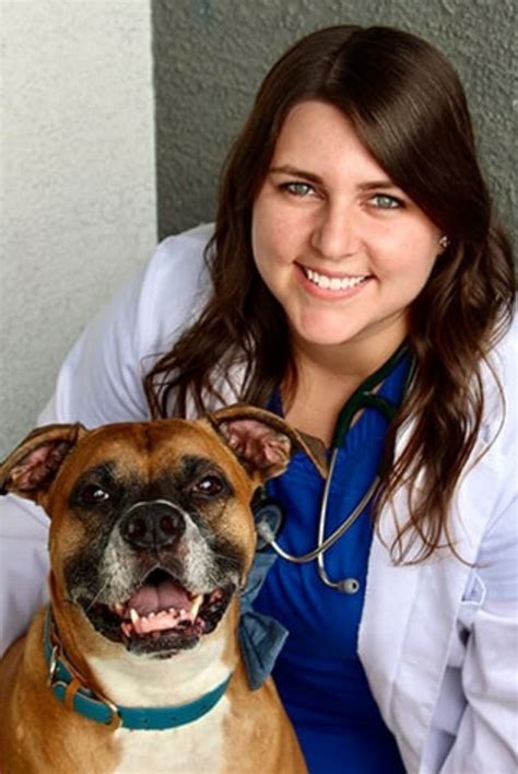 Our Veterinary Team Las Vegas Vet Companion Animal Hospital