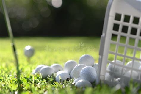 Golf Balls In Basket On Green Grass For Practice Stock Photo Image Of