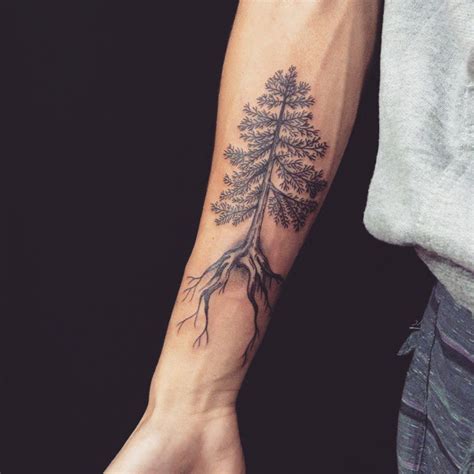 75 Simple And Easy Pine Tree Tattoo Designs And Meanings 2019