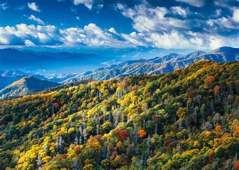 Mountain luxury in the heart of the smokies. Pin by Barbara Frost Copeland on My travels | Great smoky ...