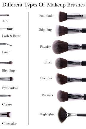 Looking For New Makeup Brushes Or Trying To Find Out How To Use Your