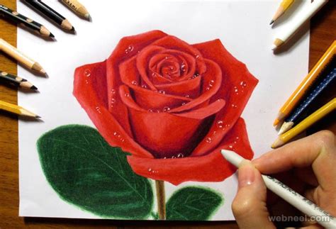 25 Beautiful Rose Drawings And Paintings For Your Inspiration Roses