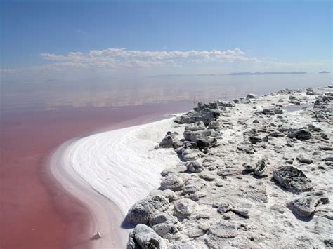TOUR OF GREAT SALT LAKE BY BUS — Tours of Utah