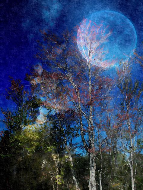 Download Moon Trees Digital Royalty Free Stock Illustration Image Pixabay