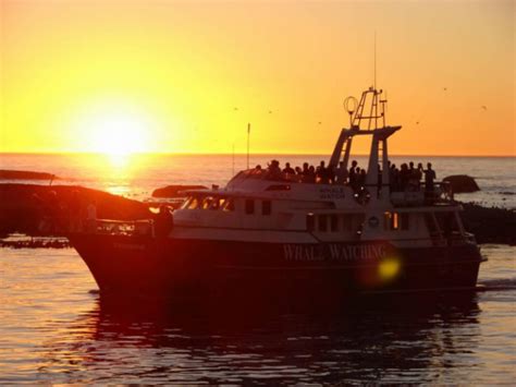 Sunset Cruises In Cape Town Private Sunset Trips Cape