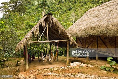 Ecotourism In The Amazon Rainforest Photos And Premium High Res