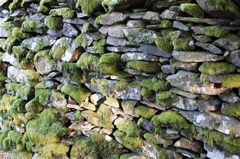 Free Image Of Old Mossy Dry Stone Wall Freebiephotography