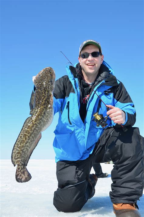 Lake Of The Woods Eelpout Lake Of The Woods