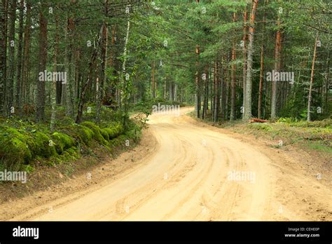 Sandy Country Road In A Wood Stock Photo Alamy