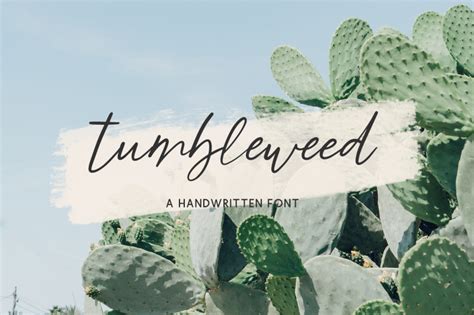 Tumbleweed Script By Beck McCormick TheHungryJPEG