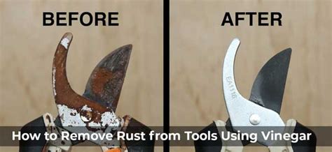 How To Remove Rust From Tools Using Vinegar