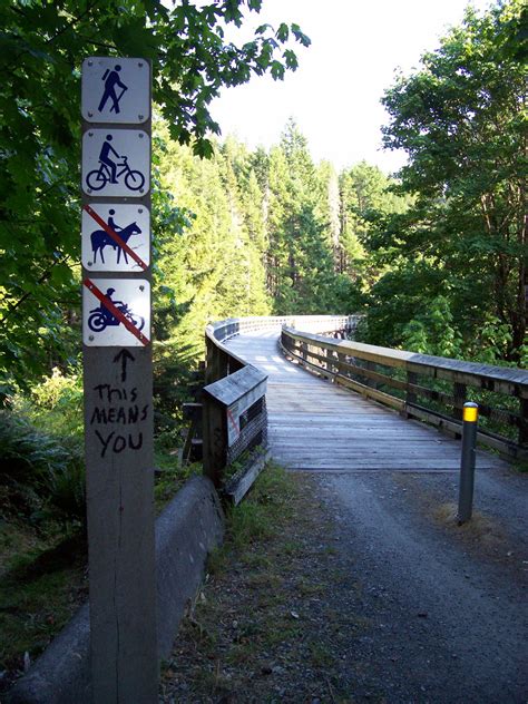 Vancouver Island Big Trees Todd Creek Cnrgalloping Goose Timber Trestle