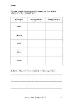 The androecium has stamens with anthers that contain. Plant reproduction worksheet | Plants worksheets ...