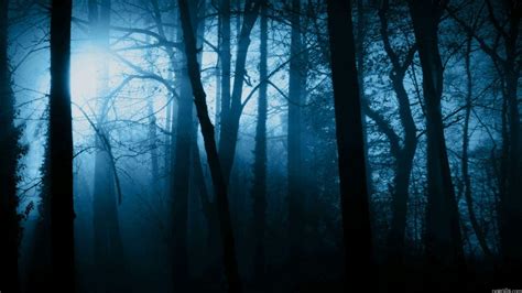 Creepy Forest Wallpapers Top Free Creepy Forest Backgrounds