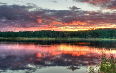 Download Wallpaper 3840x2400 Forest Trees Sunset Lake Reflection