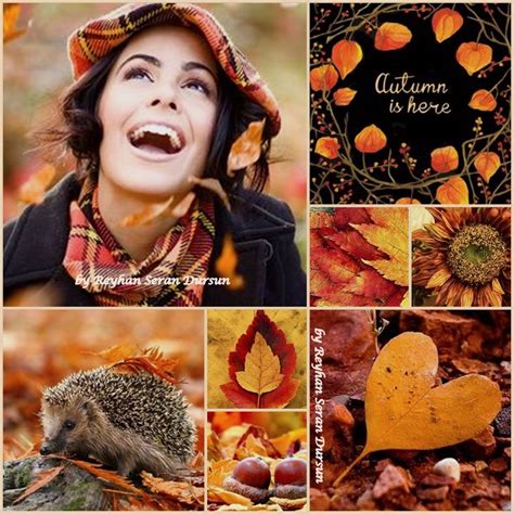 Autumn Is Here By Reyhan Seran Dursun Hello Autumn Color