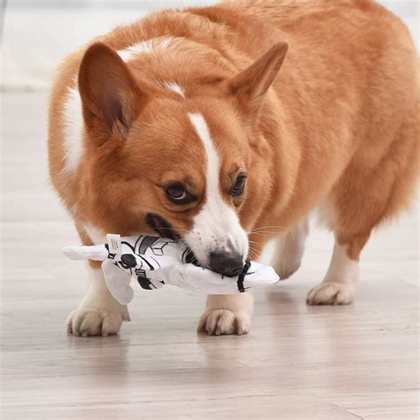 Star Wars Plush Flattie Dog Toy Stormtroope Baxterboo