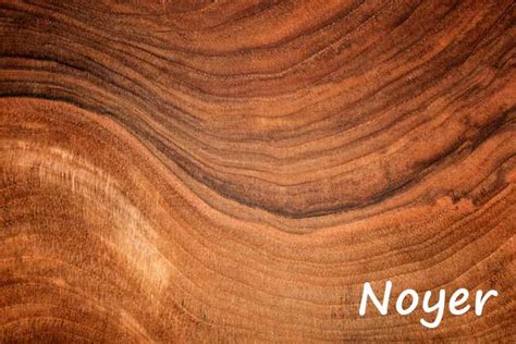 Fond bois noyer bois fond d'écran téléphone texture du sol texture naturelle carrelage en bois parement mural fond ecran galaxy bois concept. Noix et Noyer en provence | Provence 7