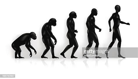 Evolution Ape To Man Photos And Premium High Res Pictures Getty Images