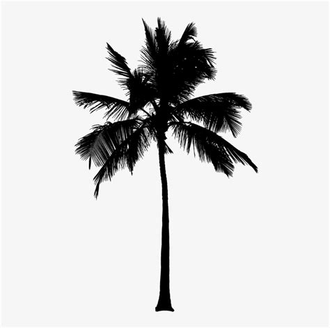 Black And White Palm Tree Design