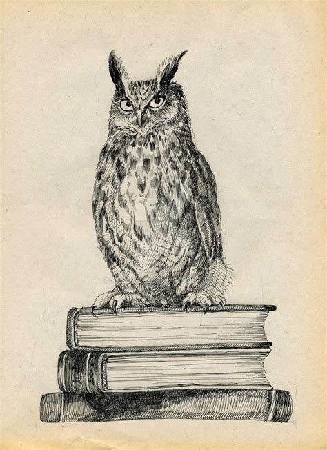 Library Owl By Redilion On Deviantart