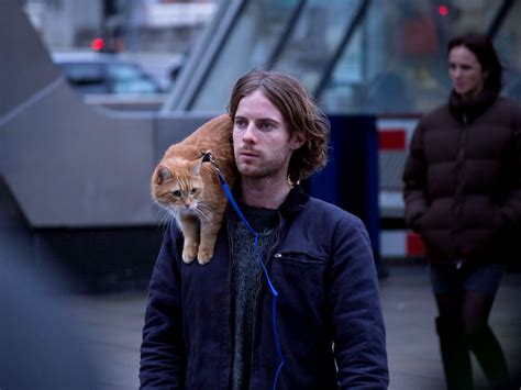 Over 400,000 people were vaccinated yesterday (pictured: A Street Cat Named Bob review
